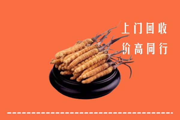 高价求购：无锡市梁溪区回收散虫草