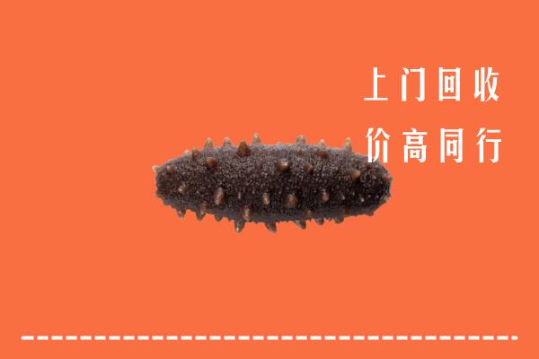 无锡市梁溪区回收海参