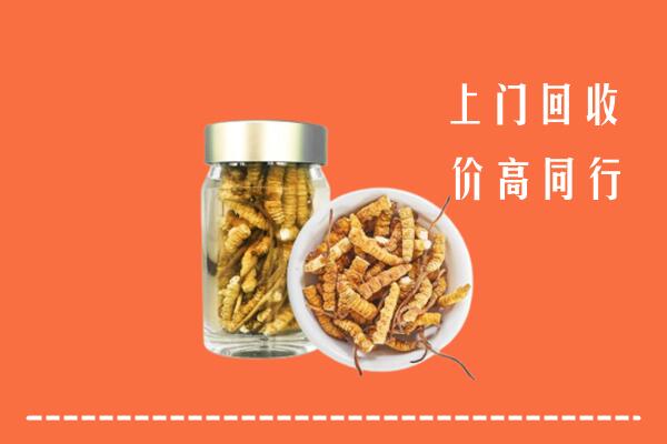 无锡市梁溪区回收冬虫夏草