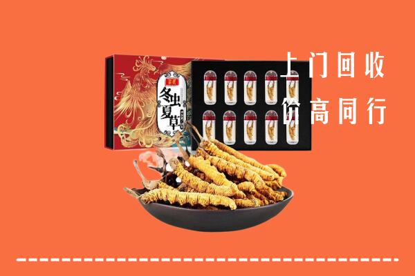 无锡市梁溪区回收虫草